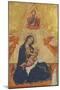 Madonna and Child-Vittore Carpaccio-Mounted Giclee Print
