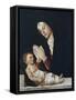 Madonna and Child-Bartolomeo Montagna-Framed Stretched Canvas