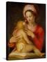 Madonna and Child-Andrea del Sarto-Stretched Canvas