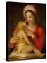 Madonna and Child-Andrea del Sarto-Stretched Canvas