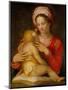 Madonna and Child-Andrea del Sarto-Mounted Giclee Print
