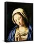 Madonna at Prayer-Giovanni Battista Salvi da Sassoferrato-Framed Stretched Canvas
