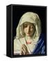 Madonna at Prayer-Giovanni Battista Salvi da Sassoferrato-Framed Stretched Canvas