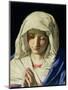 Madonna at Prayer-Giovanni Battista Salvi da Sassoferrato-Mounted Giclee Print