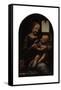 Madonna Benois-Leonardo da Vinci-Framed Stretched Canvas