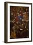 Madonna Between Angel Musicians and Saints Bernard, Margaret and Anthony-Paolo Domenico Finoglia-Framed Giclee Print