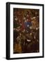 Madonna Between Angel Musicians and Saints Bernard, Margaret and Anthony-Paolo Domenico Finoglia-Framed Giclee Print