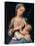 Madonna Campori (Madonna and Child)-Correggio-Stretched Canvas