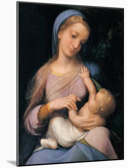 Madonna Campori (Madonna and Child)-Correggio-Mounted Art Print