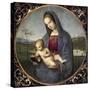 Madonna Conestabile-Raphael-Stretched Canvas