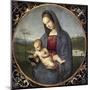 Madonna Conestabile-Raphael-Mounted Art Print