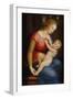 Madonna D'Orleans, Ca 1506-1507-Raphael-Framed Giclee Print