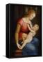 Madonna D'Orleans, Ca 1506-1507-Raphael-Framed Stretched Canvas