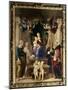 Madonna Del Baldacchino, c.1507-Raphael-Mounted Giclee Print