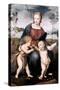 Madonna Del Cardellino, 1507-Raphael-Stretched Canvas