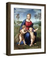 Madonna Del Cardellino (Madonna of the Goldfinch) by Raphael-null-Framed Giclee Print