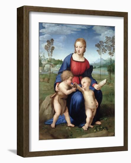 Madonna Del Cardellino (Madonna of the Goldfinch) by Raphael-null-Framed Giclee Print