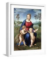 Madonna Del Cardellino (Madonna of the Goldfinch) by Raphael-null-Framed Giclee Print