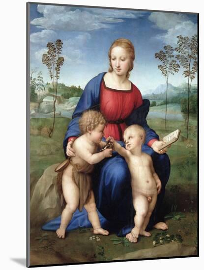 Madonna Del Cardellino (Madonna of the Goldfinch) by Raphael-null-Mounted Giclee Print