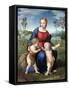 Madonna Del Cardellino (Madonna of the Goldfinch) by Raphael-null-Framed Stretched Canvas