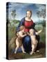 Madonna Del Cardellino (Madonna of the Goldfinch) by Raphael-null-Stretched Canvas