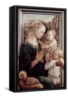 Madonna Del Granduca-Raphael-Framed Stretched Canvas