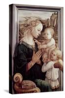 Madonna Del Granduca-Raphael-Stretched Canvas