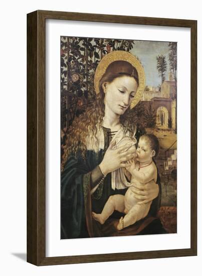 Madonna Del Latte-Ambrose Bergognone-Framed Giclee Print