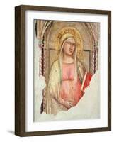 Madonna Del Parto-Taddeo Gaddi-Framed Giclee Print