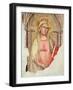 Madonna Del Parto-Taddeo Gaddi-Framed Giclee Print