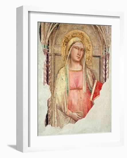 Madonna Del Parto-Taddeo Gaddi-Framed Giclee Print