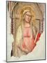 Madonna Del Parto-Taddeo Gaddi-Mounted Giclee Print