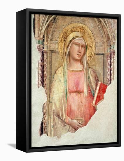 Madonna Del Parto-Taddeo Gaddi-Framed Stretched Canvas