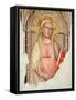 Madonna Del Parto-Taddeo Gaddi-Framed Stretched Canvas