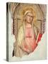 Madonna Del Parto-Taddeo Gaddi-Stretched Canvas