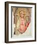 Madonna Del Parto-Taddeo Gaddi-Framed Giclee Print