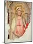 Madonna Del Parto-Taddeo Gaddi-Mounted Giclee Print