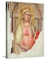 Madonna Del Parto-Taddeo Gaddi-Stretched Canvas