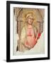 Madonna Del Parto-Taddeo Gaddi-Framed Giclee Print