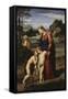 Madonna Del Passeggio-Raphael-Framed Stretched Canvas