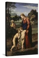 Madonna Del Passeggio-Raphael-Stretched Canvas