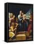 Madonna Del Pesce-Raphael-Framed Stretched Canvas