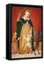 Madonna Del Soccorso-Tiberio D'assisi-Framed Stretched Canvas