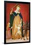 Madonna Del Soccorso-Tiberio D'assisi-Framed Giclee Print