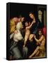 Madonna Dell'Impannata-Raphael-Framed Stretched Canvas