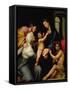 Madonna Dell'Impannata-Raphael-Framed Stretched Canvas