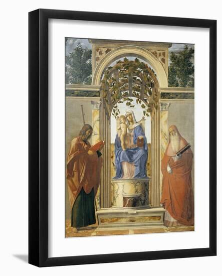 Madonna Della Pergola-Giovanni Battista Cima Da Conegliano-Framed Giclee Print