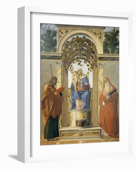 Madonna Della Pergola-Giovanni Battista Cima Da Conegliano-Framed Giclee Print