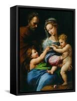 Madonna Della Rosa-Raphael-Framed Stretched Canvas