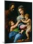 Madonna Della Rosa-Raphael-Mounted Premium Giclee Print